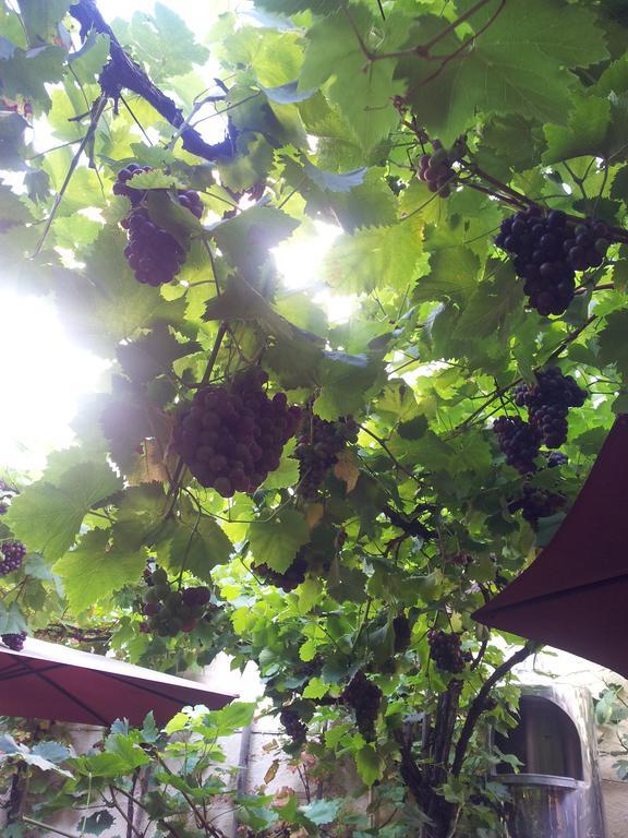 Hotel Weingut Haxel Cochem Exterior foto