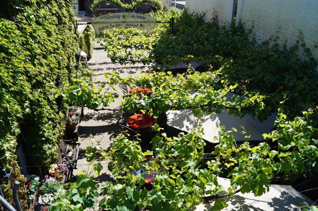 Hotel Weingut Haxel Cochem Exterior foto