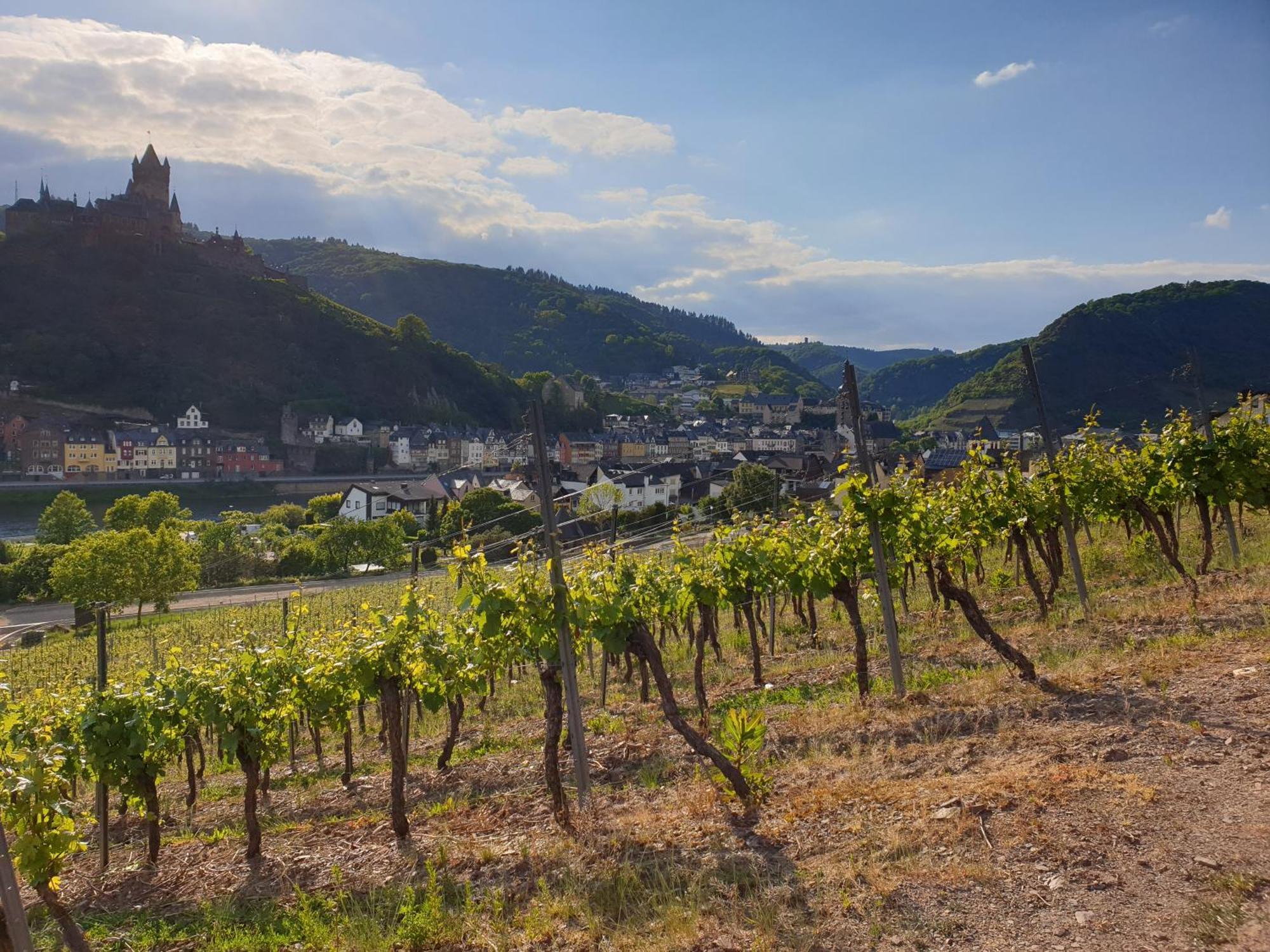 Hotel Weingut Haxel Cochem Exterior foto